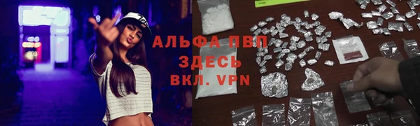 ПСИЛОЦИБИНОВЫЕ ГРИБЫ Новокубанск