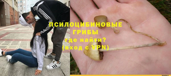 мдма Новозыбков