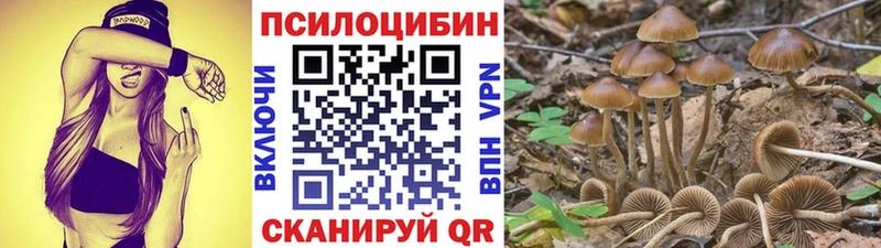 Псилоцибиновые грибы MAGIC MUSHROOMS  Сортавала 